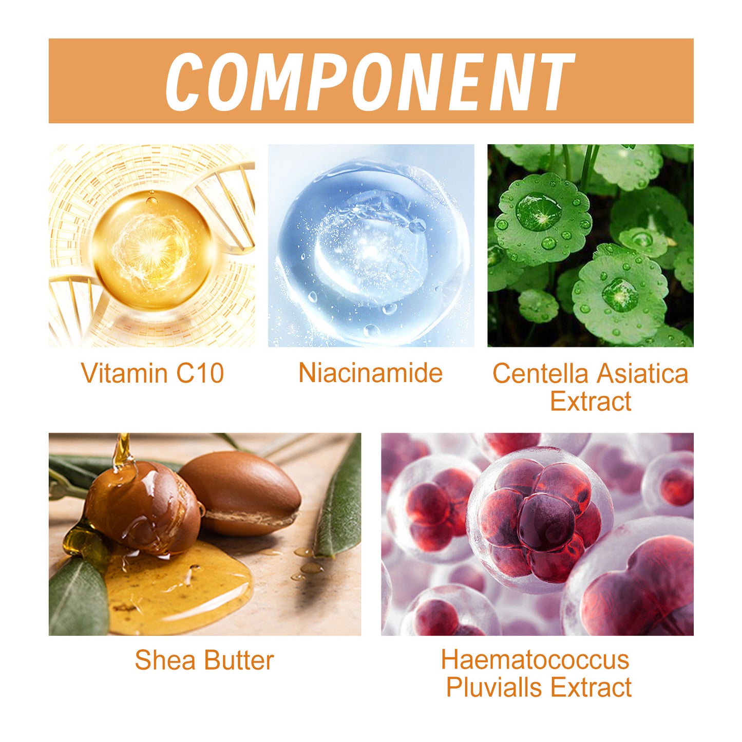 Estevian Vitamin C Anti-Aging Serum